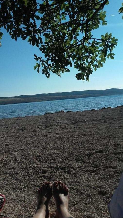 Larus * Starigrad Paklenica